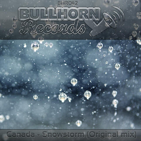 Snowstorm