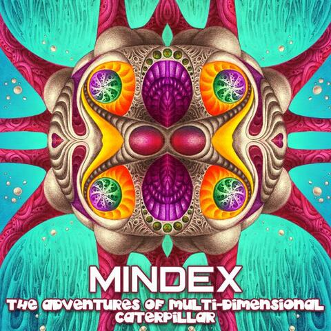 The Adventures of Multi​-​Dimensional Caterpillar