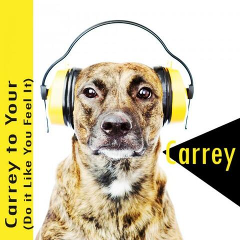 Carrey To Your (Do It Like You Feel It)