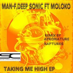 Taking Me High (feat. Moloko)