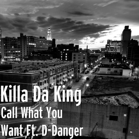 Call What You Want Ft. D-Danger - Single