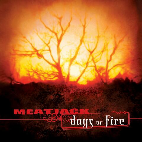 Days of Fire