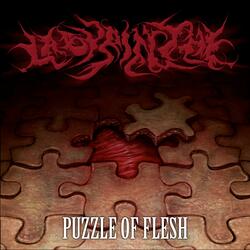 Flesh Fixation