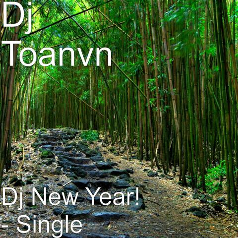 Dj New Year! - Single