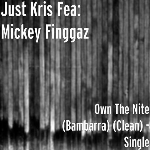Own the Nite (Bambarra) (Clean) - Single