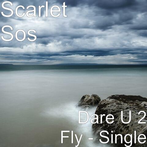 Dare U 2 Fly - Single