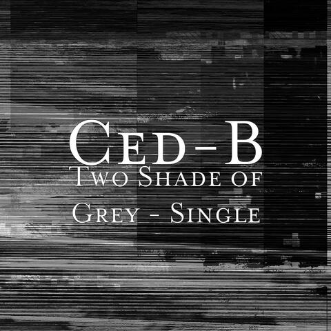 Two Shades of Grey - Single