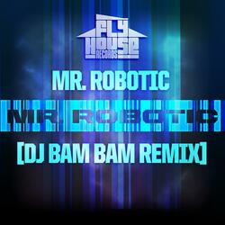 Mr.Robotic (DJ Bam Bam Radio Remix)