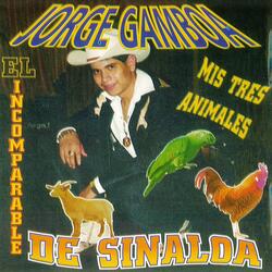Voy De Pasada