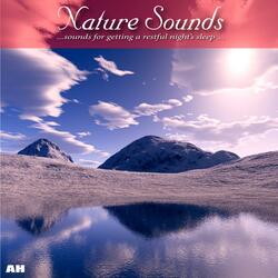 Nature Sound Collection