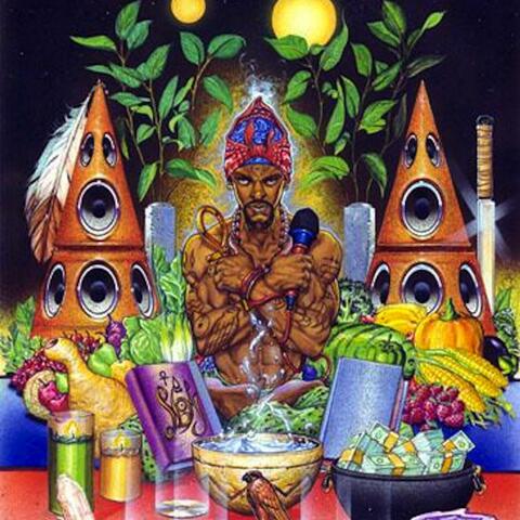 Wholistic Wellness For The Hip Hop Generation