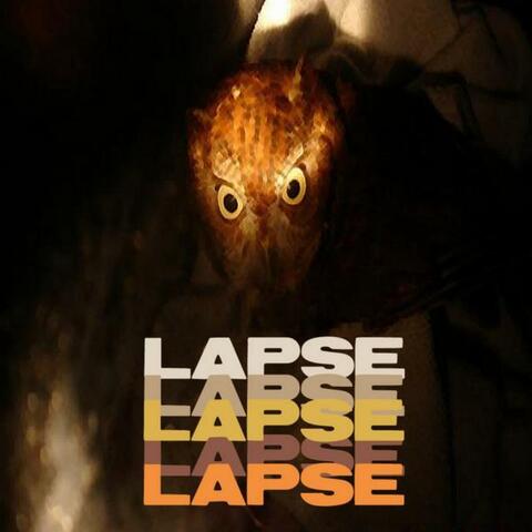 Lapse