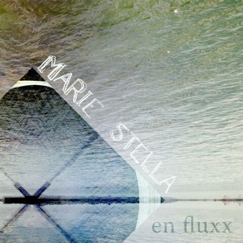 En Fluxx Single