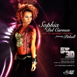 No Te Quiero (Remix) (feat. Pitbull)