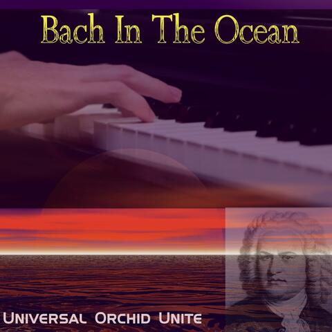 Bach in the Ocean