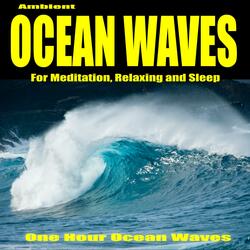 Ocean Waves (One Hour Ocean Sounds for Meditation, Relaxing and Sleep)