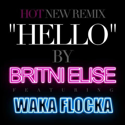 Hello (So Damn Right For Me) Remix (feat. Waka Flocka Flame) - Single