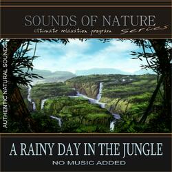 A Rainy Day In The Jungle (Sounds of Nature)