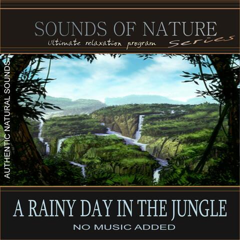 A Rainy Day In The Jungle (Sounds of Nature)
