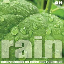 Rain for Sleep and Relaxation