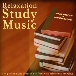 Relaxing Study