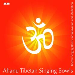 Tibetan Singing Bowls and Gong for Healing and Relaxation