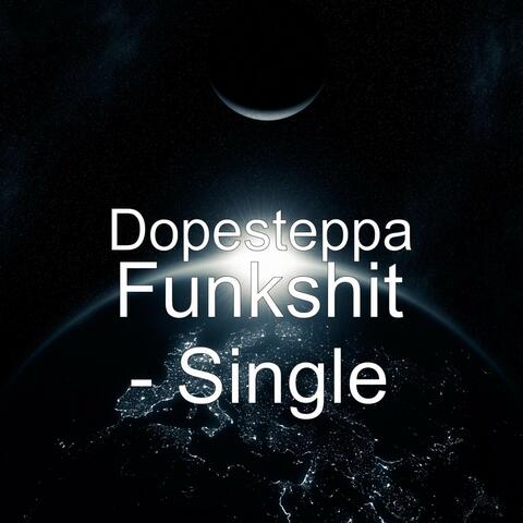 Funkshit - Single