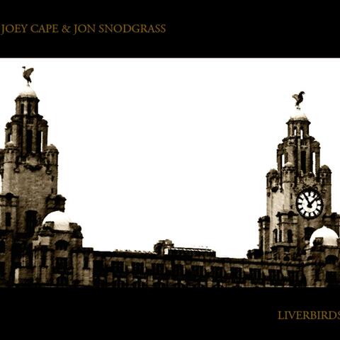 Alien 8 (Liverbirds Album Acoustic Version) - Single