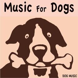 Sleeping Dog Music