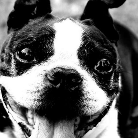 Good Morning Beautiful