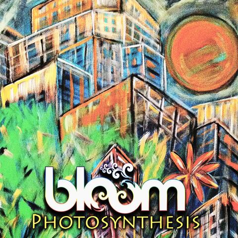 Photosynthesis