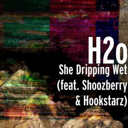 She Dripping Wet (feat. Shoozberry & Hookstarz)