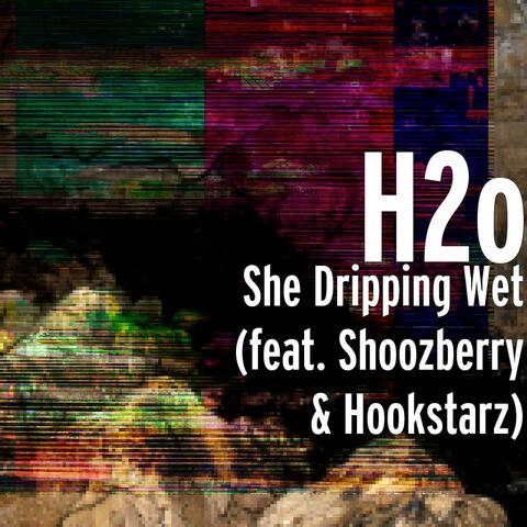 She Dripping Wet (feat. Shoozberry & Hookstarz) - Single