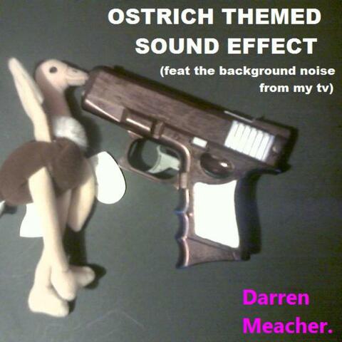 Ostrich Themed Sound Effect (feat. The Background Noise of My Television) - Single