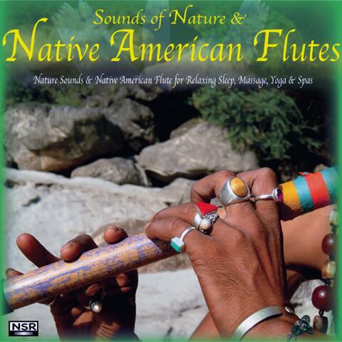 Nature Sounds & Native American Flute for Relaxing Sleep
