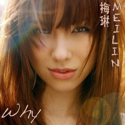 Why (Chinese Version - Remastered 2011) - Single