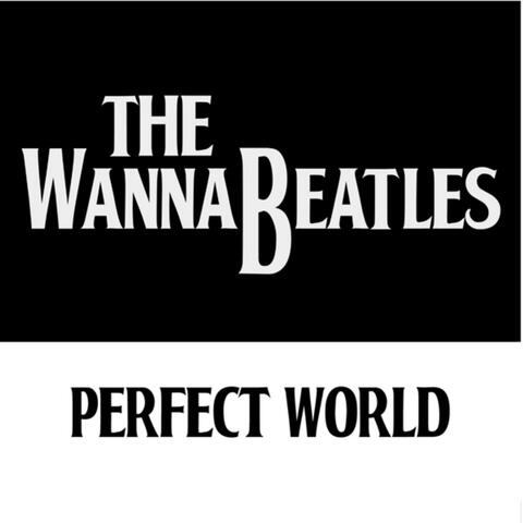 Perfect World - Single