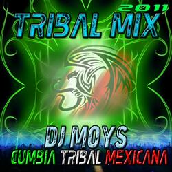 Cumbia Tribal Mix 2011