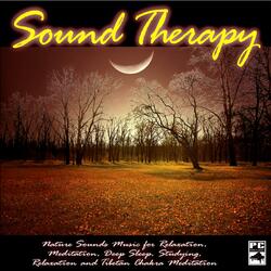Summer Night Sounds
