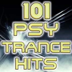 Microscan - Shadow Magnet (New Goa Trance Remix )