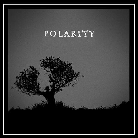 Polarity 1
