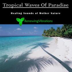 Tropical Waves Of Paradise. Healing Sounds of Mother Nature. Great for Relaxation, Meditation, Sound Therapy and Sleep.