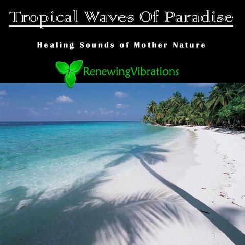 Tropical Waves Of Paradise. Healing Sounds of Mother Nature. Great for Relaxation, Meditation, Sound Therapy and Sleep. - Single