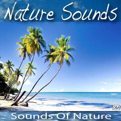 Nature Sounds