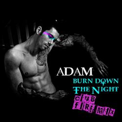 Burn Down the Night - Club Fire Mix