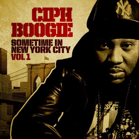 Sometime In New York City Vol 1
