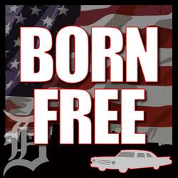 Born Free - Devil Without a Cause & Kid Rock Tribute