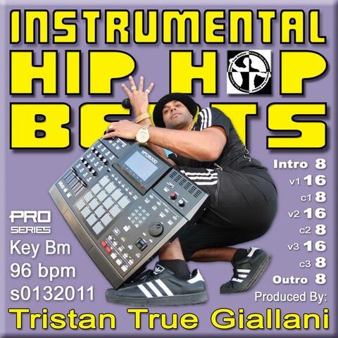 Instrumental Hiphop Beats (S0132011 Bm 96 BPM)