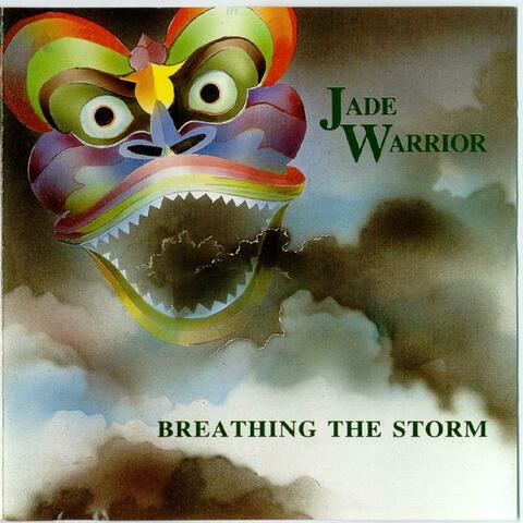 Breathing The Storm