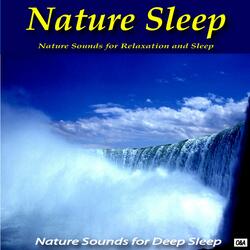 Nature Sounds for Relaxation and Sleep No. 2
